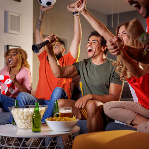 20 Fast Facts on Sports Fandom, Viewership and Advertising Impact